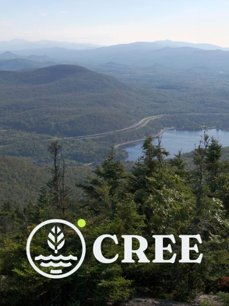 CREE